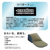 クッション くつろぎ ごろごろ い草 抗菌防臭 消臭 シンプル 小林製薬コバガード使用 約48×90cm