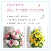 【ペットのお悔やみ】【 選べる5色】【Lサイズ】【クール便】【送料込み】フラワーアレンジメント おまかせ制作 最短翌日お届け  日時指定可 | ペット お供え 犬 猫 お悔やみ 虹の橋 ペット供養 お供え花 お悔やみ花 供花 四十九日 命日に贈るフラワーアレンジメント