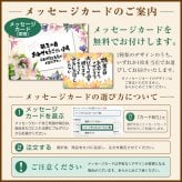 敬老の日 ギフト 夏ギフト 高級 豪華 お茶漬け【北海道.ご馳走生茶漬け 9種セット.】詰め合わせ セット プレゼント お取り寄せグルメ 贈り物  送料無料 母の日 父の日 御中元 敬老の日 御歳暮 誕生日 内祝い お返し 海鮮 海産物 食品 食べ物 魚 惣菜【T03】