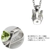 ペリドット ネックレス シルバー925 ネックレス 8月誕生石 一粒 銀 チェーン 長さ選べる 40cm 45cm 50cm ギフトラッピング可能 シンプル 華奢 上品 ミリオンベル 彼女 妻 女性 レディース 誕生日 プレゼント ハロウィン 【品番：CG-SP-29051SV-8】