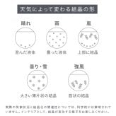 Storm Glass ストームグラス アザラシ[気象計 天気予報 インテリア オブジェ 置物 かわいい おしゃれ インテリア雑貨 ガラス プレゼント ギフト 雑貨 結晶 天気 置き物 贈り物 アニマル 動物 ガラス雑貨 インテリア小物]