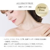【TVで紹介】馬蹄 ネックレス K18 18金 プラチナ 仕上 レディース 金属アレルギー 対応 シンプル 50代 大人 20代 カジュアル ブランド リズ ホースシュー 結婚記念日 女性 妻 母の日 誕生日 プレゼント 女友達 ギフト 30代 40代