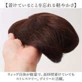 プリシラ 部分 ウィッグ prisila ST-102 通販 かつら 女性 レディース 部分ウィッグ ポイントウイッグ ヘアピース ポイントウィッグ ウイッグ 頭頂部 つむじ 白髪隠し 白髪かくし カツラ 人毛100% 人 毛 100 ロング 増毛部分かつら