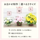 【おまかせアレンジメント】【選べる5色】【Mサイズ】【バルーン追加OK】【送料込】フラワーアレンジメント おまかせ制作 最短翌日届 誕生日 お祝い 結婚祝い 出産祝い 還暦祝い 古稀祝い 喜寿祝い 傘寿祝い 米寿祝い 退職祝い 結婚記念日 引っ越し祝い 新築祝い 産休祝い 開業祝い 開店祝い 記念日 周年祝い フラワーアレンジメント 生花 バルーンフラワー 生花 センスがいい フラワーギフト