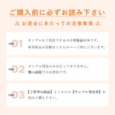 サンプルピアス貸出券