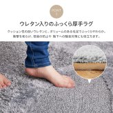 ラグ カーペット 国産高機能 ミラク 約185×240cm 防ダニ 抗菌 防臭 ふっくら 厚手 日本製