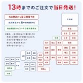 elizabeth parker エリザベスパーカー シルバー グリッドパターン ネクタイピン タイバー プレゼント ギフト父 彼氏 夫 結婚祝い 誕生日