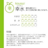 予約販売 訳あり 梨 千葉県市川産 いちかわの梨 5kg 幸水 豊水 秋月 B級品 自宅用 家庭用 和梨 なし フルーツ 果物 旬の味覚 お取り寄せ グルメ お盆 暑中見舞い 残暑見舞い