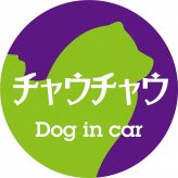 Dog in car ドッグインカー ステッカー カーステッカー チャウチャウ レトロ書体 パープルグリーン シール 煽り運転対策 カーサイン