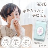 手口ふき 12個セット 90枚 × 12個 セット WT004