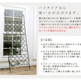アイアンフェンス アイアン製グリーン アーガイル 2枚組 フェンス アイアン グリーンフェンス ゴーヤ 薔薇 バラ 朝顔 庭 ベランダ ガーデニング 枠 柵 仕切り 目隠し 境目 アンティーク トレリス 園芸 ラティス 屋外 ガーデンフェンス 庭用品 新生活