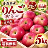 【新品種・希少】青森県産　りんご　家庭用　華宝（かほう）　大玉　5kg　12～20玉　送料無料！