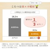 一人用こたつ 2点セット テーブル 椅子 ライラ 70×50cm 高さ65・40cm ハイタイプ ロータイプ 300Wヒーター 天然木 パーソナルこたつ グレー ナチュラル