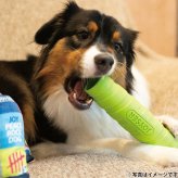 ジョイサー JOYSER ホールスティック 犬用おもちゃ ライム