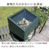 ガーデン エクステリア 木製窓付グリーンハウス （温室） 「OWN」（オウン） GRH45DGR 温室 木製 ウッド 簡易 観葉植物 多肉植物 園芸 おしゃれ 飼育 ケース 保温