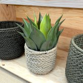 観葉植物 造花 アガベ アテナータ BROWN 全高約50cm 卓上・小型 フェイクグリーン 本物そっくり おしゃれ インテリア 人工観葉植物 アーティフィシャルグリーン オフィス 店舗 ホテル 開店祝い 室内 ミニ 多肉植物 フェイク