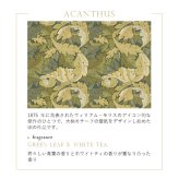 RETELLINGS OF CLASSIC リテリングスオブクラシック Solaflower Diffuser ソラフラワーディフューザー ACANTHUS（▶fragrance：Green Leaf & White Tea グリーンリーフ＆ホワイトティ）