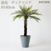 観葉植物 造花 ディクソニア BROWN 全高約183cm 大型 フェイクグリーン 高級 本物そっくり リアル おしゃれ 珍しい インテリア 人工観葉植物 アーティフィシャルグリーン オフィス 店舗 ホテル 開店祝い 室内 リビング 玄関 風水 木性シダ