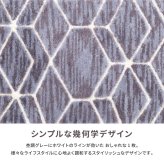 ラグ カーペット 玄関マット クロード 約50×80cm 滑り止め シンプル モダン グレー 室内 屋内 エントランスマット 新生活