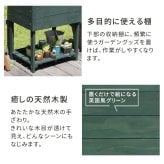 ガーデン エクステリア 木製窓付グリーンハウス （温室） 「OWN」（オウン） GRH45DGR 温室 木製 ウッド 簡易 観葉植物 多肉植物 園芸 おしゃれ 飼育 ケース 保温
