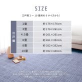 ラグ カーペット 敷き詰め シオン 江戸間10帖 10畳 抗菌 防臭 フリーカット 平織 格子柄
