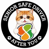 カーサイン 高齢者マーク SENIOR SAFE DRIVER エキゾチックショートヘア ステッカー シール 直径13cm 肉球 日本製 車