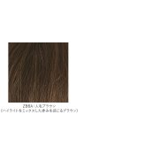 プリシラ 部分 ウィッグ prisila ST-102 通販 かつら 女性 レディース 部分ウィッグ ポイントウイッグ ヘアピース ポイントウィッグ ウイッグ 頭頂部 つむじ 白髪隠し 白髪かくし カツラ 人毛100% 人 毛 100 ロング 増毛部分かつら