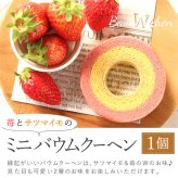 ＼早割！8/31の16時まで／ 敬老の日 ギフト プレゼント 早割 人気 花 生花 蘭 胡蝶蘭 鉢植え ミディ 2.5号 洋蘭園 フラワーギフト バウムクーヘン スイーツ お菓子 洋菓子 花とお菓子 60代 70代 80代 90代 おじいちゃん おばあちゃん 孫 孫から おいもや