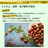 ＼新発売／フリーズドライ なつめチップス 月乃果（TSUKINOKA）20g 無農薬・無化学肥料 ノンシュガー ノンフライ 無添加 厳選なつめ 日本加工