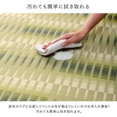 ラグ カーペット 洗える ござ 日本製 国産 丈夫 除菌スプレー対応 敷詰 敷物 アウトドア レジャー ペット 江戸間4.5畳（約261×261cm）