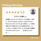 ピアス キャッチ 予備キャッチ チタン 純チタン 金属アレルギー 全品1個ずつバラ売り プレゼント