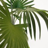 観葉植物 造花 シュロチク BROWN 全高約120cm 大型 フェイクグリーン 本物そっくり おしゃれ インテリア 人工観葉植物 アーティフィシャルグリーン オフィス 店舗 ホテル 開店祝い 室内 棕櫚竹 ヤシ フェイク