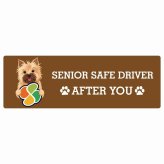 カーサイン 高齢者マーク SENIOR SAFE DRIVER ノーリッチテリア ステッカー シール 長方形 15x5cm 肉球 日本製 車