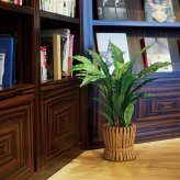 観葉植物 造花 アスプレニウム BROWN 全高約90cm 中型 フェイクグリーン 本物そっくり おしゃれ インテリア 人工観葉植物 アーティフィシャルグリーン オフィス 店舗 ホテル 開店祝い 室内 タニワタリ シダ フェイク