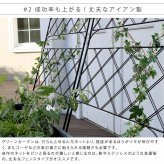 アイアンフェンス アイアン製グリーン アーガイル フェンス アイアン グリーンフェンス ゴーヤ 薔薇 バラ 朝顔 庭 ベランダ ガーデニング 枠 柵 仕切り 目隠し 境目 アンティーク トレリス 園芸 ラティス 屋外 ガーデンフェンス 目隠しフェンス 新生活