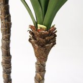 観葉植物 造花 ユッカ BROWN 全高約115cm 中型 フェイクグリーン 本物そっくり おしゃれ インテリア 人工観葉植物 アーティフィシャルグリーン オフィス 店舗 ホテル 開店祝い 室内 青年の木 エレファンティペス フェイク