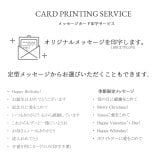 【TVで紹介】馬蹄 ネックレス K18 18金 プラチナ 仕上 レディース 金属アレルギー 対応 シンプル 50代 大人 20代 カジュアル ブランド リズ ホースシュー 結婚記念日 女性 妻 母の日 誕生日 プレゼント 女友達 ギフト 30代 40代