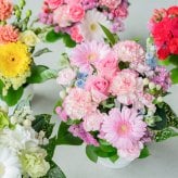 カラフルガーデン アレンジメントS  生花 花市場から直送 お祝い 誕生日 記念日