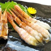 山陰の地エビ「ガラエビ/ドロエビ」（船内冷凍）中サイズ  500ｇ以上　 送料無料 ※北海道、東北、沖縄は送料別途加算