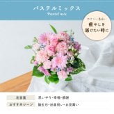 カラフルガーデン アレンジメントS  生花 花市場から直送 お祝い 誕生日 記念日