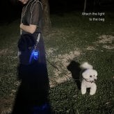 光る キーホルダー 名前 保証書付き 犬 迷子札 ライト 子供 夜道 夜の散歩 名入れ 名前入り LED 交通安全 可愛い 夜間 暗闇 ネームプレート USB 充電 名入れ 夜間散歩 夜散歩 事故防止 光るキーホルダー おしゃれ ランニング