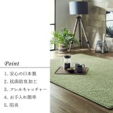 ラグ カーペット 日本 抗菌 消臭 清潔 オーダー 防炎 アレルキャッチャー 抗アレル物質 ダニ対策 シャギー 無地 約2.4畳 約150×250cm