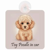 Toy Poodle トイプードル Bタイプ 車 窓ガラス 吸盤タイプ 犬 かっこいい おしゃれ イラスト付 DOG IN CAR ドッグインカー ドッグオンボード 安全対策 セーフティサイン デコ 外出 ドライブ カーサイン 吸盤