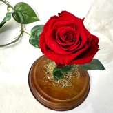 【天然ダイヤモンドの輝き】プリザーブドフラワー バラ 薔薇 ガラスドーム 2色 赤 青 ダイヤモンドローズ 花 ギフト プロポーズ 結婚式 記念日 誕生日 プレゼント 女性 妻 彼女 美女と野獣 サムシングブルー アモローサ 還暦祝い 退職祝い お祝い インテリア オブジェ Lulu＊s ルルズ