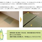 夏ラグ 夏用カーペット 純国産 い草 上敷き カーペット 麻綿織 『清正』 本間8畳(約382×382cm） 熊本県八代産イ草使用