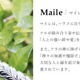 ハワイアンジュエリー オーダーメイド ゴールド ネックレス 刻印 無料 誕生石 ハワイアン k14 14k イエローゴールド ピンクゴールド ホワイトゴールド プレート プレートネックレスワジュ メンズ レディース 誕生日 プレゼント【品番：KJGP-002】