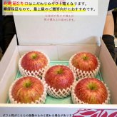 【糖度光センサー選別】長野県産りんご サンふじ プレミアム ギフト 約3キロ 約5キロ 贈答用 お歳暮 長野県産 信州産 果物 林檎 フルーツ 贈答 お取り寄せ 産地直送 母の日 父の日 敬老の日 還暦祝い お中元 お歳暮 お祝い ギフト 贈り物 グルメプレゼント 冬ギフト クリスマスプレゼント フルーツ 無添加【送料無料(一部地域除く)】