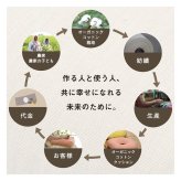 クッション シート リビング 日本製 オーガニックコットン 綿100% 無地 洗える 約40×50cm