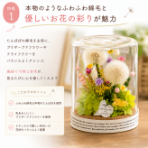 幸せを運ぶ たんぽぽの綿毛 ボトルフラワー ／プリザーブドフラワー タンポポ ドライフラワー ナチュラル インテリア おしゃれ 植物標本 花ギフト プレゼント