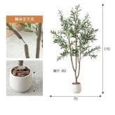 【高さ170cm】光触媒人工観葉植物 オリーブ 幅70cm×奥行60cm×高さ170cm オフィス 天然木 ポリエステル 組立品 お部屋に気軽に飾れて空間を美しく彩るフェイクグリーン 本物の植物のようなリアルな質感とインテリアに馴染む風合いが魅力です